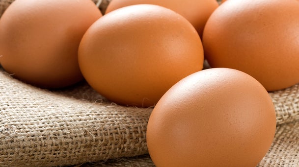 1800x672-gs-wk20-gr-zone-eggs_1200x672_acf_cropped